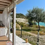 营地 Caravana The Black Pearl *