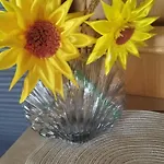 Caravana The Black Pearl 营地 巴尔奇克