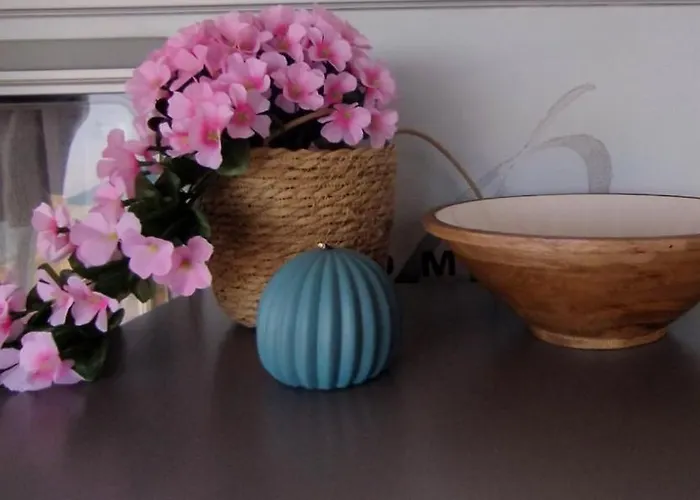 Campsite Caravana The Black Pearl Balchik