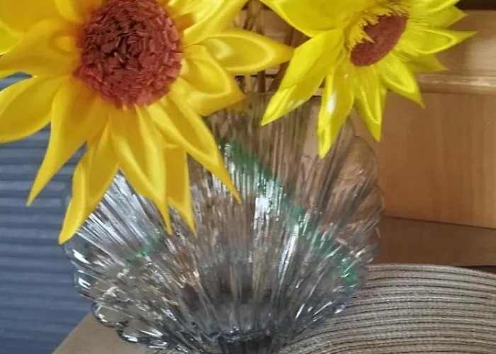 Caravana The Black Pearl Campsite Balchik